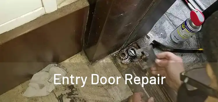 Entry Door Repair